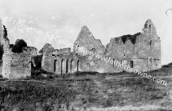 ABBEY KNOCKMOY FROM S.E.IN DETAIL